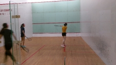 2019-summer-squash_5