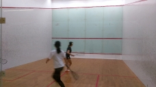 2019-summer-squash_6