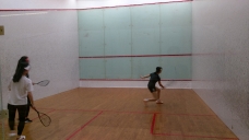 2019-summer-squash_7