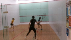 2019-summer-squash_9