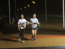 2019-cuhk-10k_250