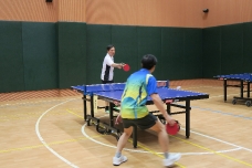 table-tennis2016_27