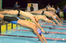中大游泳精英比賽 2016