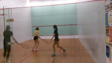 2019-summer-squash_10