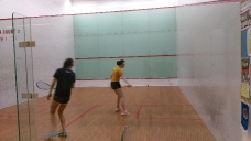 2019-summer-squash_11