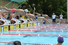 2019-aig-swimminggala_216