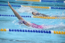 2019-aig-swimminggala_99